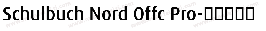 Schulbuch Nord Offc Pro字体转换
